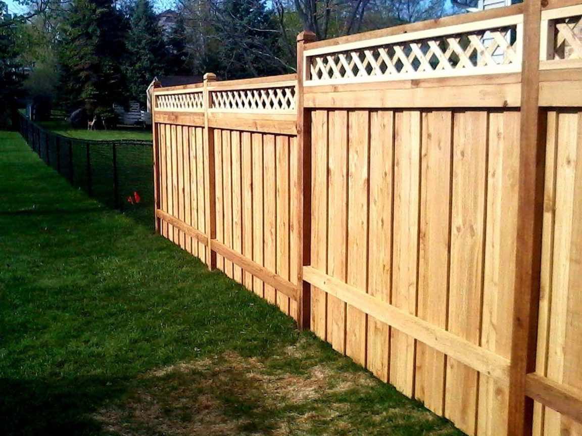 Western red cedar privacy fence with a white lattice-top accent in a backyard setting