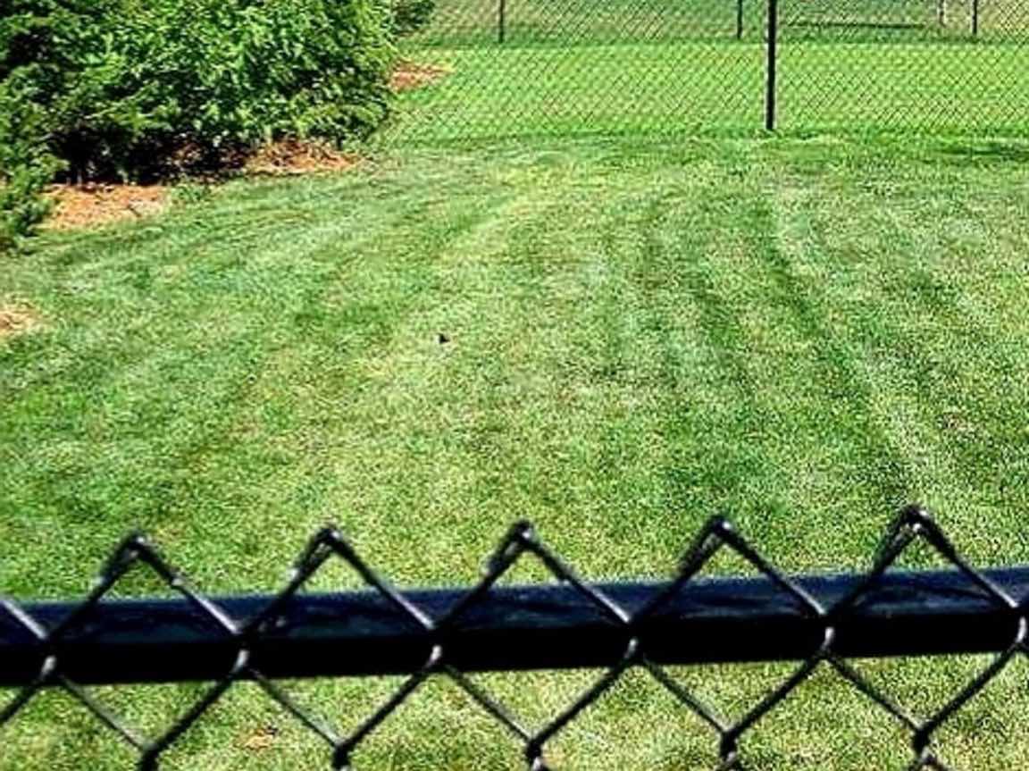 Black vinyl coated chain link fence enclosing a backyard lawn